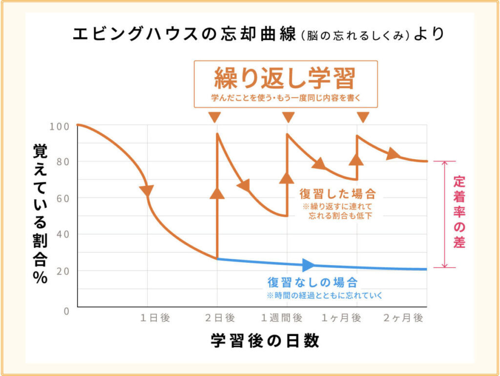 エビングハウスの忘却曲線　復習のタイミング