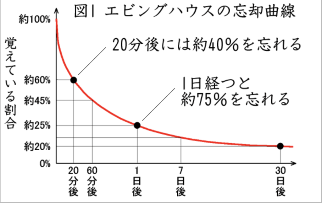 エビングハウスの忘却曲線　英単語はいつどのくらい忘れるのか